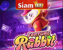 melhor plataforma para jogar fortune rabbit ícone